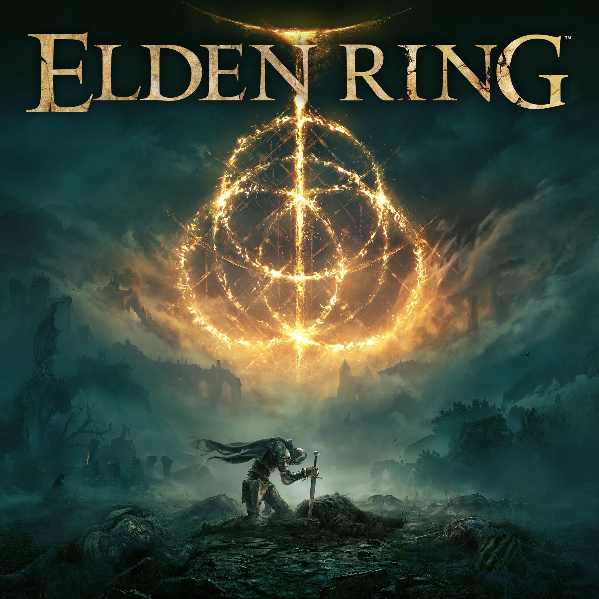 Elden Ring Tarnished overlooking the Lands Between